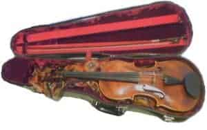 viola case