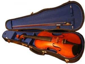 viola case