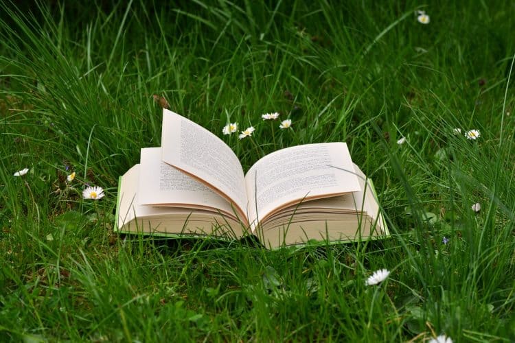 A book on grass symbolising edtech to read a book faster