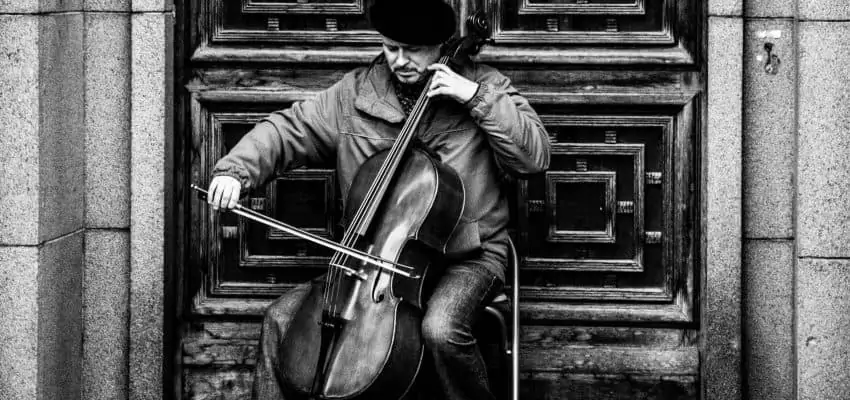 8 essential cello accessories for beginners