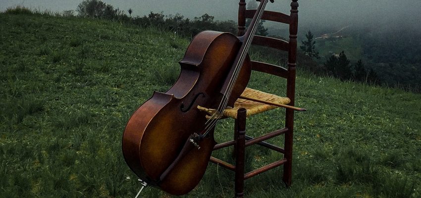 Cello maintenance and care (17 key things)