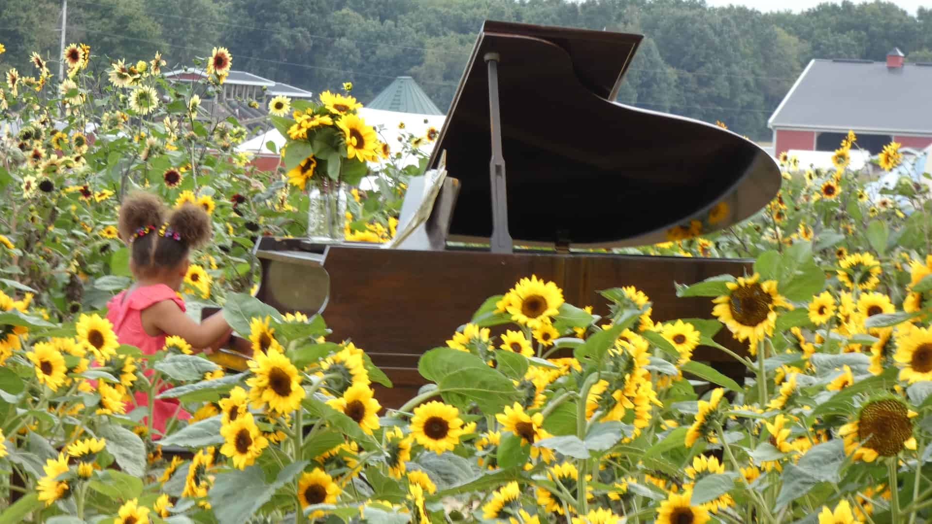 child playing a piano in sunflowers